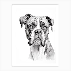 Boxer Dog, Line Drawing 4 Art Print