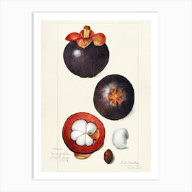 Passion Fruit 2 Art Print