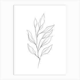 Drawing Of A Leaf 1 Art Print