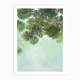 Acropora Nana Ii Storybook Watercolour Art Print