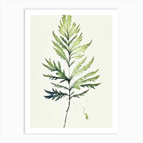 Wormwood Leaf Minimalist Watercolour 1 Art Print
