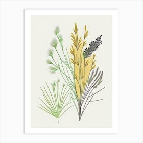 Fennel Seeds Spices And Herbs Minimal Line Drawing 9 Art Print