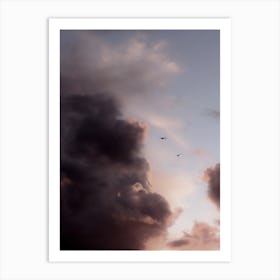 Birds at Flight Art Print