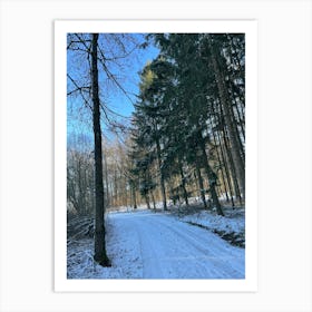 Snowy Path In The Woods Art Print