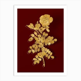 Vintage Macartney Rose Botanical in Gold on Red n.0167 Art Print