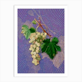Vintage Muscat Grape Botanical Illustration on Veri Peri n.0955 Art Print