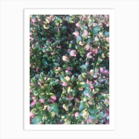 Pink And Green Shrub Art Print