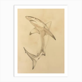 Vintage Smooth Hammerhead Shark Pencil Illustration 3 Art Print