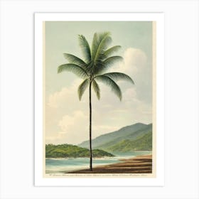 Maracas Bay Beach Trinidad And Tobago Vintage Art Print
