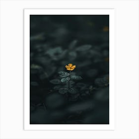 Flower In The Dark 48 Art Print