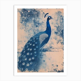 Blue & Sepia Cyanotype Inspired Peacock Art Print