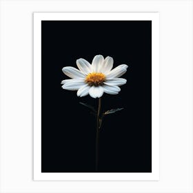 Daisy 5 Art Print