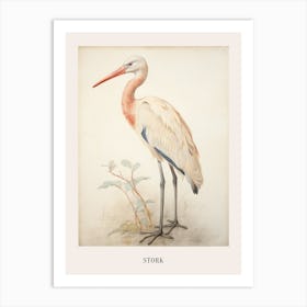 Vintage Bird Drawing Stork 1 Poster Art Print