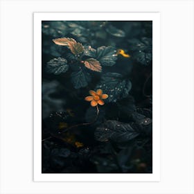 Rizwanakhan The Last Flower 13 Art Print