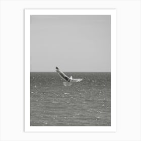 Seagull Flying Over The Ocean Art Print