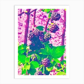 Blackberry 1 Risograph Retro Poster Fruit Art Print