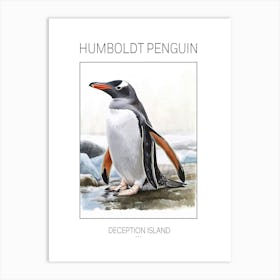 Humboldt Penguin Deception Island Watercolour Painting 4 Poster Art Print