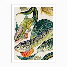 Lizardfish Vintage Graphic Watercolour Art Print