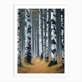 Birch Forest 94 Art Print