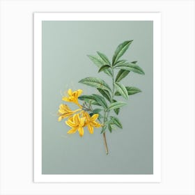 Vintage Yellow Azalea Botanical Art on Mint Green n.0397 Art Print