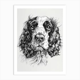 American Water Spaniel Line Sketch 3 Art Print