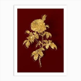 Vintage Provence Rose Bloom Botanical in Gold on Red Art Print