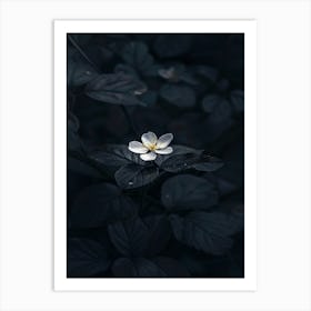 Dark Flower 39 Art Print