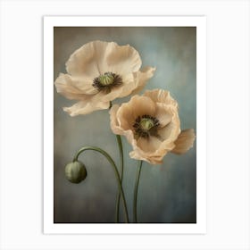 Poppies 33 Art Print