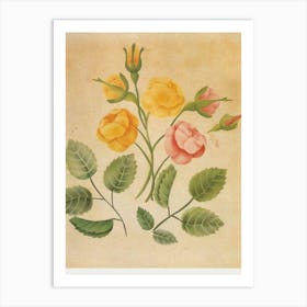 Roses Art Print