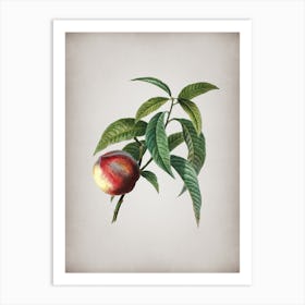 Vintage Peach Botanical on Parchment Art Print