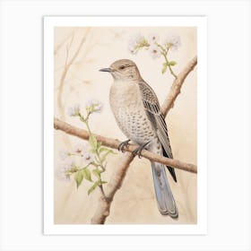 Vintage Bird Drawing Cuckoo 2 Art Print