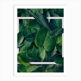 Green Leaves In A Frame Art Print
