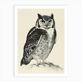 Northern Hawk Owl Vintage Illustration 3 Art Print