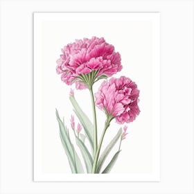 Carnation Floral Quentin Blake Inspired Illustration 3 Flower Art Print