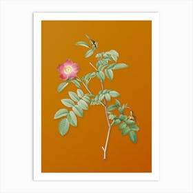 Vintage Pink Alpine Rose Botanical on Sunset Orange n.0726 Art Print