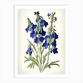 Larkspur Wildflower Vintage Botanical 1 Art Print