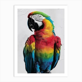 Colorful Parrot Art Print