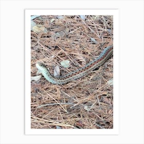 Snake in the straw Art Print