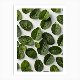 Mint Leaves On White Background Art Print