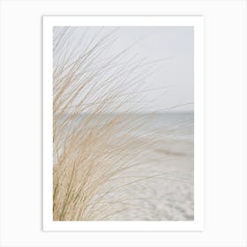 Grass On The Beach Art Print