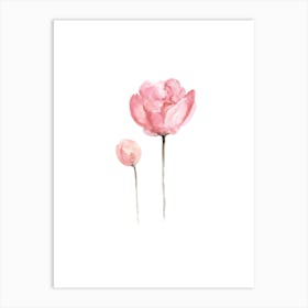 Pink Peony Watercolor Painting Art Print