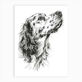 English Setter Dog Line Sketch 3 Art Print