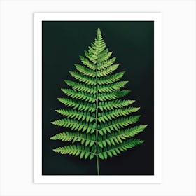 Pattern Poster Wood Fern 1 Art Print