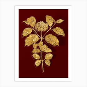 Vintage Common Dogwood Botanical in Gold on Red n.0604 Art Print
