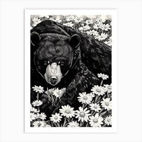 Malayan Sun Bear Resting In A Field Of Daisies Ink Illustration 2 Art Print