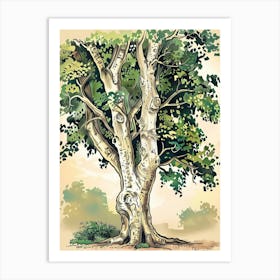Beech Tree Storybook Illustration 4 Art Print