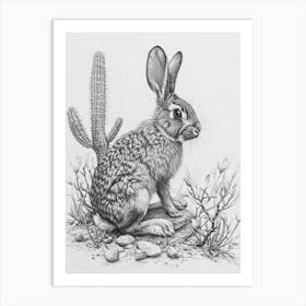 American Sable Rabbit Drawing 2 Art Print