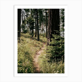 Through the Woods Art Print