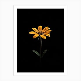 Single Yellow Flower 5 Art Print