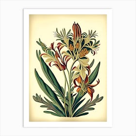 Kangaroo Paw 3 Floral Botanical Vintage Poster Flower Art Print